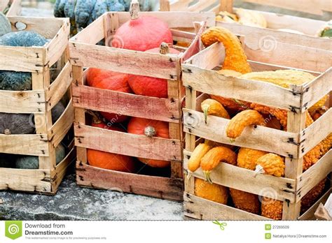 Autumn Pumpkins In A Boxes Stock Image Image Of Decoration 27269509