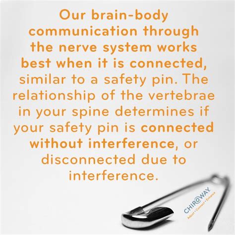 A Chiropractic Adjustment Reconnects Your Safety Pin And Removes