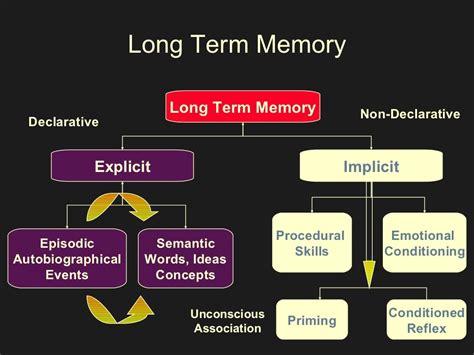 Long Term Memory Long Term