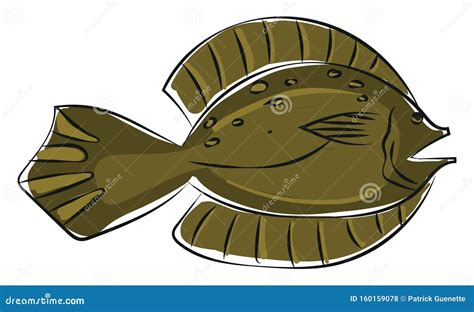Clipart Of A Winter Flounder Fishpseudopleuronectes Americanus Vector