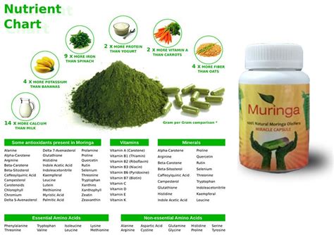 Moringa Capsules Moringa Leaf Powder Moringa Leaves Vitamins And