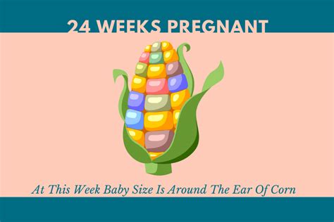 24 Weeks Pregnant Symptoms And Body Changes Of Mother And Baby