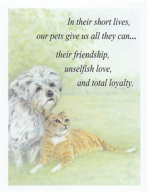 Printable Pet Sympathy Cards Jack Young What Makes Digital Pet