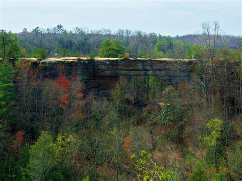 Filenatural Bridge Kentucky Wikipedia