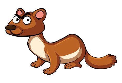Weasel Clipart Free Download On Clipartmag