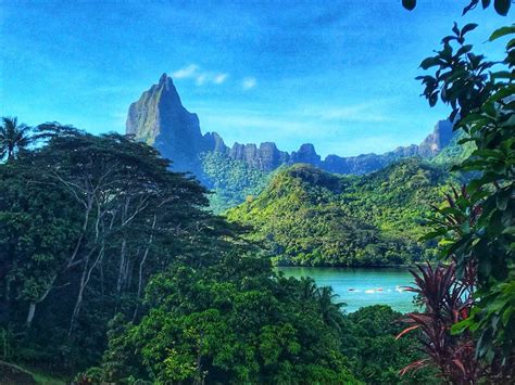 Island Vibes 15 Epic Things To Do In Moorea Moorea Tahiti Tahiti