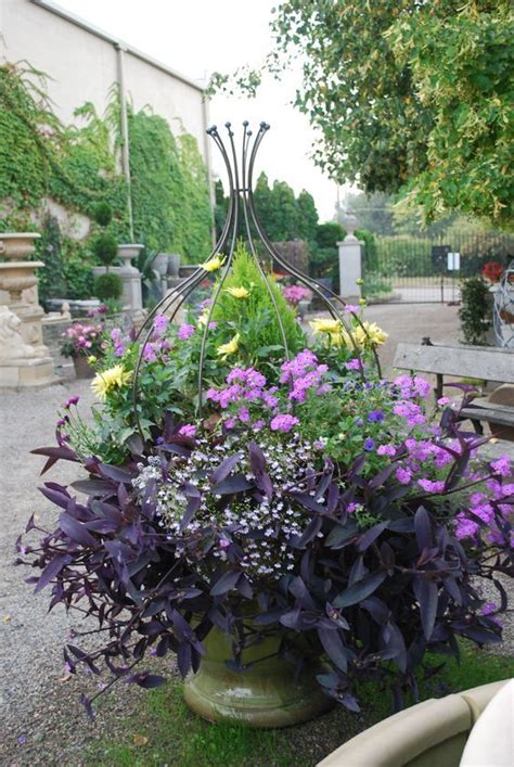 Love The Form Of This Pot With Purples And Yellows Container Plants