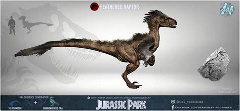 Raptors Dinosaur Feathers ~ A New Species Of Feathered Theropod Has