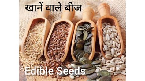 Seeds Name Seeds Name In English To Hindi Edible Seeds Name