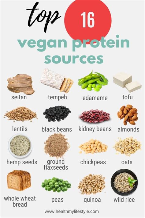 Top 16 Plant Based Proteins For A Balanced Vegan Diet Health My Lifestyle