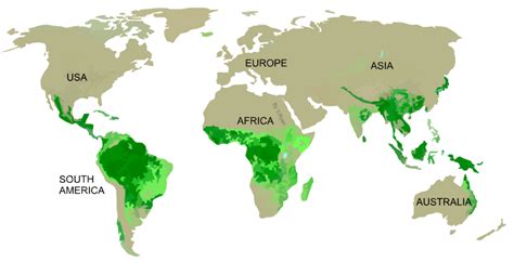 30 Rainforest Map Of The World Online Map Around The World