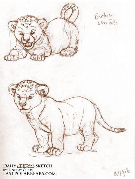 How To Draw A Lion Cub This As Best Online Diary Stills Gallery