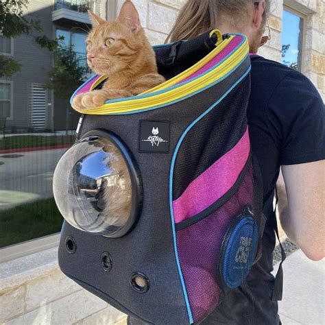 Stray X Travel Cat Backpack And Harness Collection Travel Cat Your