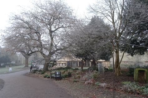 Hoar Frost In Museum Gardens Ds Pugh Cc By Sa Geograph Britain