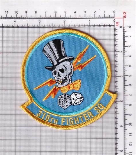 310th Fighter Squadron Patch Plastic Backing Squadron Nostalgia