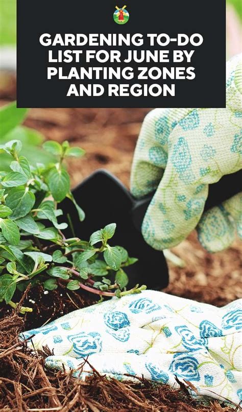 June Gardening Tips And To Do List By Planting Zones And Region Plant
