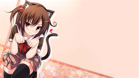 Cat Anime Wallpapers Wallpaper Cave