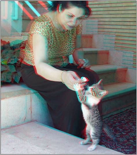 Kitty 3d Anaglyph You Need Redcyan Glasses A Photo On