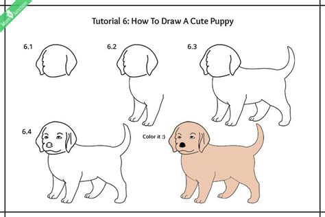 Maybe you would like to learn more about one of these? Step By Step Guide On How To Draw A Dog For Kids | Cute ...