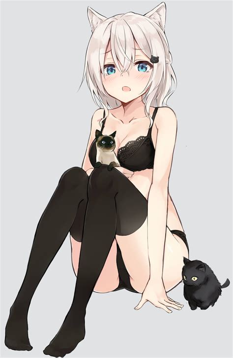 anime underwear cat bra thigh highs wallpaper 205937 2190x3360px on