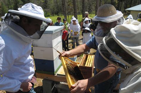 Theres A Definite Buzz Surrounding The Latest Beekeeping Course Offered By The Henderson County