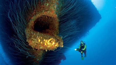 Nature Sea Water Underwater Shipwreck Divers Coral Lights