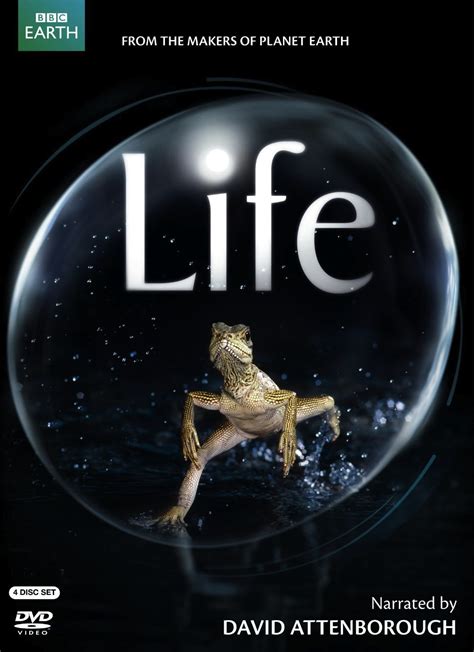 Bbc Discovery Channel Life Worksheets