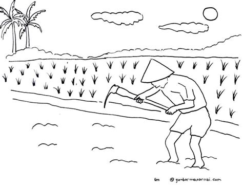 Mewarnai gambar sketsa caping gunung / topi petani. Gambar Mewarnai Petani | Sketsa, Buku mewarnai, Pemandangan