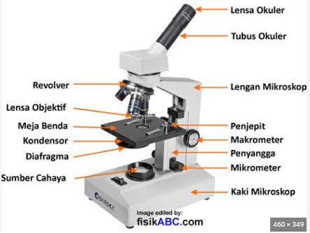 Lensa Objektif Pada Mikroskop Terdapat Pada Abduweb