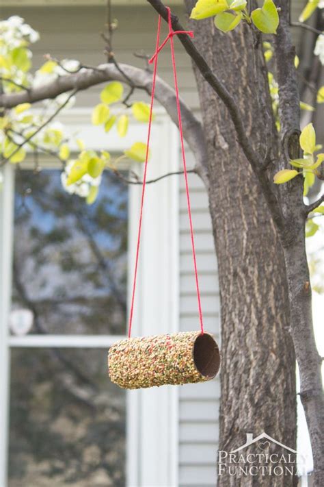 Make A Bird Feeder With A Toilet Paper Roll Peanut Butter And Bird Seed