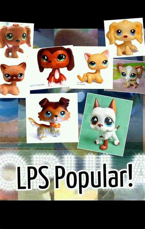 Lps Popular Is My Favorite Show In The Whole Wide World Lps