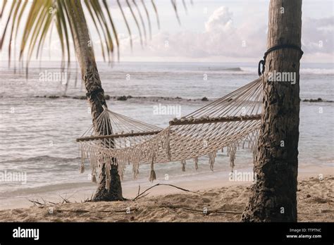 Palm Tree Hammock Beach Scene Hi Res Stock Photography And Images Alamy