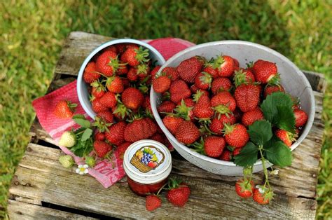The Top 6 Secrets of Growing Strawberries Indoors Year Round