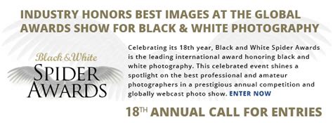 Black And White Spider Awards International Photography Competition
