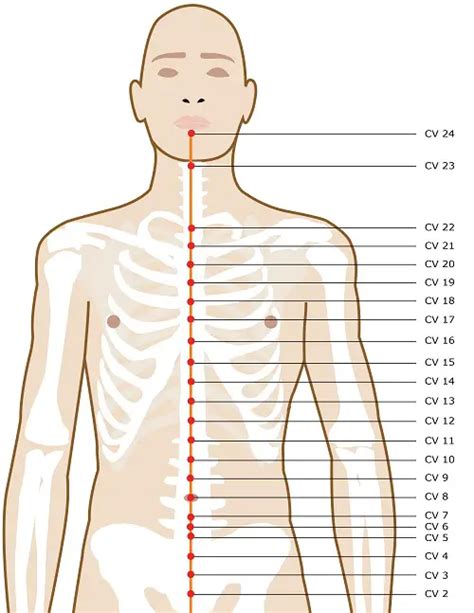 Conception Vessel Acupuncture Points