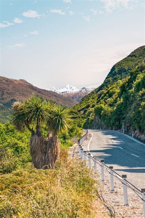 Is This New Zealands Most Scenic Road Trip Travel Insider