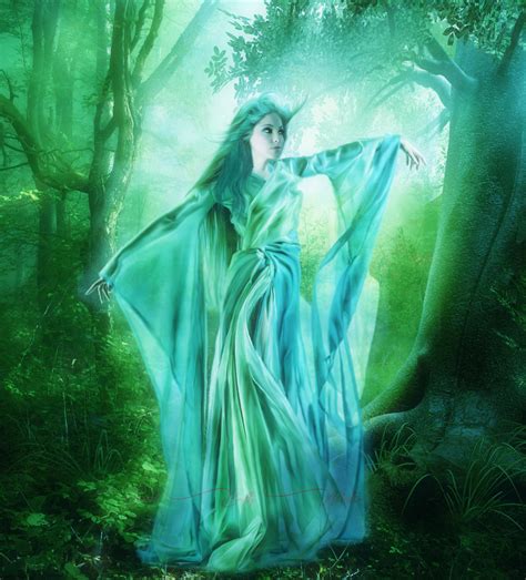 Restricted Enchanted Forest Premade By Frozenstocks On Deviantart