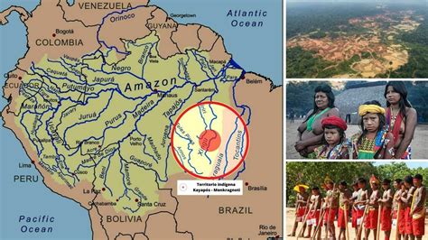 Los Kayapó Mebêngôkre Indígenas Del Amazonas Brasil