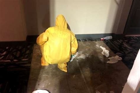 Commercial Biohazard And Crime Scene Cleanup Cotton Gds