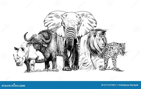 Big African Five Animal Hand Drawn Illustration Stock Illustration