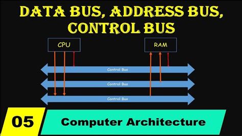 Data Bus Address Bus And Control Bus In Urduhindi Computer