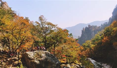 Seoraksan National Park Mt Seorak And Naksansa Temple 1 Day Tour From