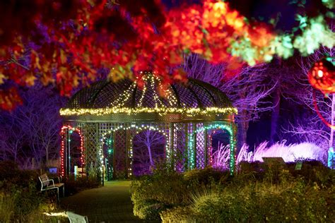 Royal Botanical Gardens Turned To Sparkling Winter Wonderland Photos