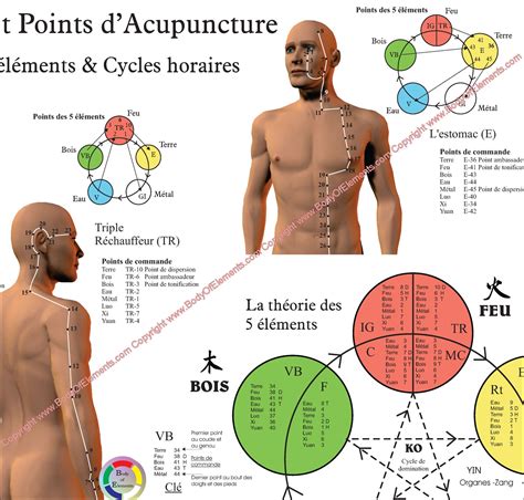 French Acupuncture Meridian Points And Pathways Poster Body Of Elements