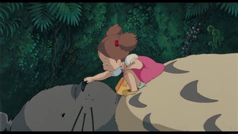 Blu Ray My Neighbor Totoro Disney