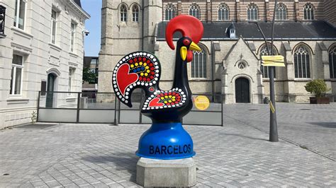 Frankrijk heeft inclusief overzeese gebiedsdelen een oppervlakte van ruim 16 keer nederland. Portugese haan strijkt neer op Grote Markt in Geel | RTV