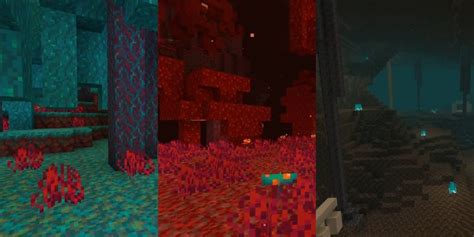 The Best New Biome To Build Your Nether Home Game Rant