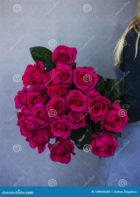Big Bouquet Of Beautiful Red Roses In Woman Hands Stock Image Image