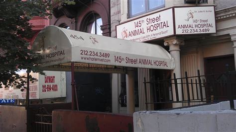 Maybe you would like to learn more about one of these? 145th St Animal Hospital - Harlem - New York, NY - Yelp