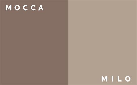 Menarik perhatian, membangun suasana, bahkan mempengaruhi emosi dan persepsi kita. Masih Bingung Bedanya Warna Milo dan Mocca? Ini Penjelasannya!